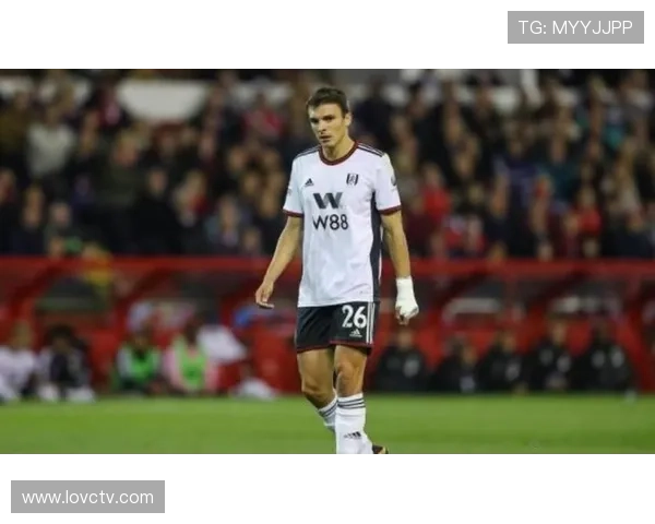 富勒姆拒绝AC米兰帕利尼亚转会报价要求全额支付解约金